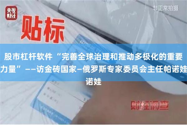 股市杠杆软件 “完善全球治理和推动多极化的重要力量” ——访金砖国家—俄罗斯专家委员会主任帕诺娃